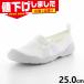  наличие 1 пункт ограничение 25.0cm 2E moon Star мужской женский MS взрослый nouwa Baki 01 обувь обувь casual легкий антибактериальный дезодорация вентиляция эластичный салон надеть обувь сделано в Японии 11210551