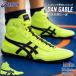  Asics мужской DAN GABLE EVO 3 Dan ge Eve ru обувь обувь рестлинг тренировка 1081A052