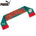 Puma мужской женский FSF культура шарф футбол одежда состязание аксессуары движение спорт 054971