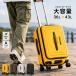 36L/43L повышение type пять Ray ks& M чайный пакетик мужской женский C-GEAR передний открытый чемодан сумка сумка Carry кейс путешествие командировка 310-4020