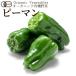  иметь машина овощи зеленый перец 120g Япония сельское хозяйство . стандарт JAS органический bejitabru смузи кулинария материал .. . материал [ осенний тест . подарок ]
