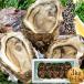  скала .. сырая устрица 3kg(9-11 шт ) натуральный . имеется сырой устрица Tottori префектура производство скала .. сырой еда 3 kilo [ производство прямой еда подарок на Bon Festival подарок ]