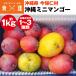  Mini манго 1kg Okinawa префектура производство 1~3 вид степень . для бытового использования манго сейчас ... рефрижератор рейс включение в покупку не возможно указанный день не возможно 