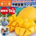  золотой меласса манго 1kg.. для Okinawa префектура производство gold mitsu манго сейчас ... производство прямой рефрижератор рейс включение в покупку не возможно указанный день не возможно 