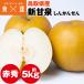  новый . Izumi Tottori префектура производство груша 5kg красный превосходящий ...... мир груша производство прямой обычная температура рейс включение в покупку не возможно указанный день не возможно 