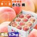  персик 3kg Sakura превосходящий товар подарок твердый персик Yamagata префектура производство белый персик Momo обычная температура рейс включение в покупку не возможно указанный день не возможно производство прямой 