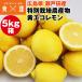  eko лимон 5kg коробка .. Hiroshima префектура . Toda производство лимон желтый специальный культивирование сельское хозяйство производство предмет . пестициды . химия удобрение включение в покупку не возможно указанный день не возможно 