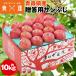  солнечный ..10kg Aomori префектура производство .. для яблоко 32~36 шар .. яблоко .. яблоко фрукты фрукты указанный день не возможно включение в покупку не возможно производство прямой 