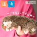  Mini pillow симпатичный температура холодный микроволновая печь маска для глаз подарок подарок плечо .. ладонь .. плита рефрижератор повторение hot I school температура 