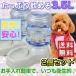 ペット用 自動給水器 2コセット 3.5L 犬 猫 自動給水機 ペット食器 台座付 洗える 防滑 滑り止め お留守番安心 ALW-PET-FD01-2SET 福袋