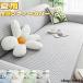 �\�t�@�[�J�o�[ �X�g���b�` �ڐG�⊴ �⊴�\�t�@�J�o�[ �Ђ��� �ėp �t�B�b�g�^�C�v 2�l�|�� �I�t�� �c���e�� �L�k�f�� ����~�� �Y���h�~ ���L�΍� �h�o
