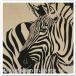 IKEA/ Ikea PJATTERYD/p.ete Lead искусство 56x56 cm простой . зебра (505.907.55/50590755)
