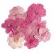  сухой цветок засушенный цветок 3-4Cm 24 штук входит сухой цветок resin для DIY для засушенный цветок материалы ручной работы цветок материал небольшое количество . гербарий aroma воск саше 