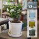  цветочный горшок модный керамика горшок простой Classic pot KT403-125 4 номер (12.5cm) горшок низ дыра есть поддонник имеется современный интерьер белый серый голубой желтый 