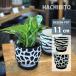  цветочный горшок модный цемент животное pot UN443-115 3.5 номер (11.5cm) горшок низ дыра есть поддонник имеется современный леопард зебра Zebra 