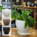  цветочный горшок модный керамика горшок античный линия pot YS0584-200 7 номер (20cm) горшок низ дыра есть поддонник имеется 5 номер для горшок покрытие автомобиль Be салон белый bronze 