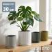  цветочный горшок модный керамика горшок полоса цвет pot YS2850-300 10 номер (30cm) горшок низ дыра есть поддонник имеется горшок покрытие закрытый современный с блеском .