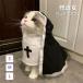  домашнее животное . дорога женщина костюмированная игра собака кошка для костюм . дорога одежда маскарадный костюм менять оборудование собака одежда кошка одежда собака для одежда кошка для одежда костюмная одежда маленький размер собака средний собака симпатичный поверхность белый Insta ..
