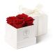 Forever Roses That Last A Year  Preserved Roses For Delivery Prime   ¹͢