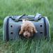  домашнее животное Carry маленький размер собака кошка заяц дорожная сумка Capsule домашнее животное сумка "дышит" путешествие через . бедствие сумка "Boston bag" складной домашнее животное house 