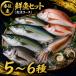  случайный свежая рыба комплект .. course 5~6 вид sashimi для центр бесплатная доставка морепродукты подарок .... Япония море. свежая рыба свежая рыба box свежая рыба BOX внизу отделка ваш заказ прямая поставка от производителя подарок 