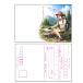 QA02 радиолюбительская связь для . товар QSL карта 100 листов ввод 
