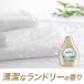 P&G �t�@�u���[�Y �v���~�A�� �����ȃ����h���[�̍��� �l�ߑւ� ������ 1240ml x2�� ���L�X�v���[ �ߗށE�z�p ���L�{���ې����ō����x���z�� �֘A�摜2