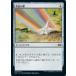 MTG ��̵/���ܸ��Ǣ� �Ժ̿�����/Chromatic Star�ե��֥�ޥ������� 2XM