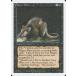 MTG /ѸǢ Ա¥ͥ/Plague RatsեХ 3ED
