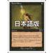 MTG ����/���ܸ��Ǣ� ��̿���/Fatal Blow����6�� 6ED