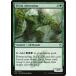 MTG ����/�Ѹ��Ǣ� �ԥ���դΰ�æ��/Elvish Aberration�եޥ�������25th A25