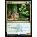 MTG ����/���ܸ��Ǣ� �Կ���μ�/Mystic Snake�եޥ�������25th A25
