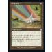 MTG ��̵/���ܸ��Ǣ� �Ժ̿�����/Chromatic Star�բ����Ȣ� �������� BRO