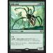 MTG ����/���ܸ��Ǣ� �Ը���������/Silklash Spider����Ψ��2014 C14