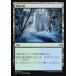 MTG ������/���ܸ��Ǣ� �԰񿹤���/Thornwood Falls����Ψ��2016 C16