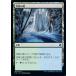MTG ������/���ܸ��Ǣ� �԰񿹤���/Thornwood Falls����Ψ��2019 C19