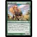 MTG ����/���ܸ��Ǣ� ����μ�������/Kodama of the South Tree�տ���ʪ�� CHK