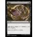 MTG ����/���ܸ��Ǣ� �Թ��ɤ�/Read the Bones����Ψ�ԥޥ������� CMM