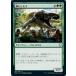 MTG ����/���ܸ��Ǣ� ���ڥӥҥ⥹/Scaled Behemoth����Ψ�ԥ쥸���󥺡�CMR