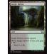 MTG /ѸǢ(285)ԥ󥰥Τ/Jungle Hollowե⡼Ψ DSC  C