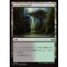 MTG /ܸǢ(285)ԥ󥰥Τ/Jungle Hollowե⡼Ψ DSC  C