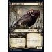 MTG ����/���ܸ��Ǣ� �Կ�����ε�����/Order of Midnight�բ����硼��������  ����ɥ쥤��β��� ELD