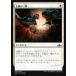 MTG ����/���ܸ��Ǣ� �������ΰ��/Righteous Blow�ե���˥��Υ���� GRN