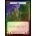 [HNT208]FaB�����ܸ��Ǣ�������/Scar Tissue[��]�ա�RainbowFoil�� [Assassin Warrior][C]