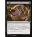 MTG ����/���ܸ��Ǣ�(479)�Թ��ɤ�/Read the Bones�եե�����ǡ������ �����ץ������� J25 ��C
