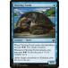 MTG /ѸǢ жʤ뵵/Thriving Turtleեǥ KLD