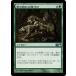 MTG ����/���ܸ��Ǣ� ����η����ͺ����/Howl of the Night Pack�մ��ܥ��å�2010  M10