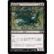 MTG ����/���ܸ��Ǣ� ���Ť��緲/Devouring Swarm�մ��ܥ��å�2012  M12