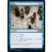 MTG ����/���ܸ��Ǣ� ��Ĭ�ɤ�/Read the Tides�մ��ܥ��å�2021 M21