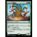 MTG /ܸǢ(233)ԥϥɥ˿/Hydra Broodmaster[M3C] R